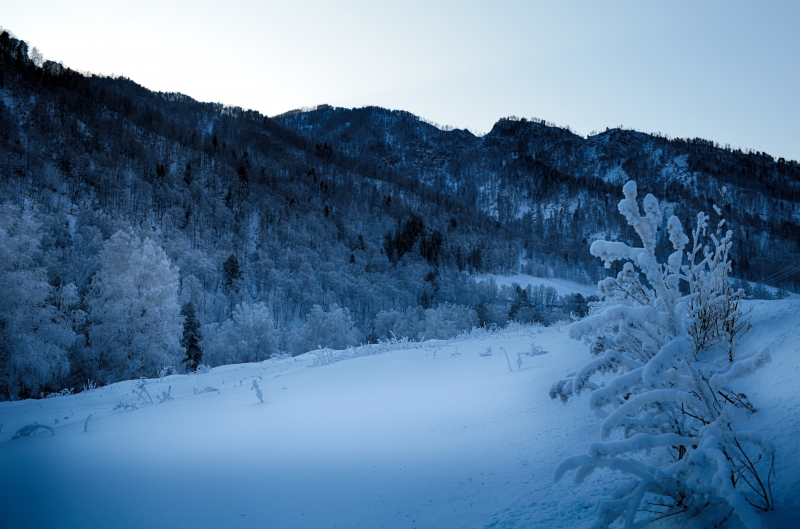 Отдых на Алтае зимой