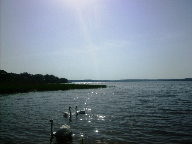 Озеро Псков